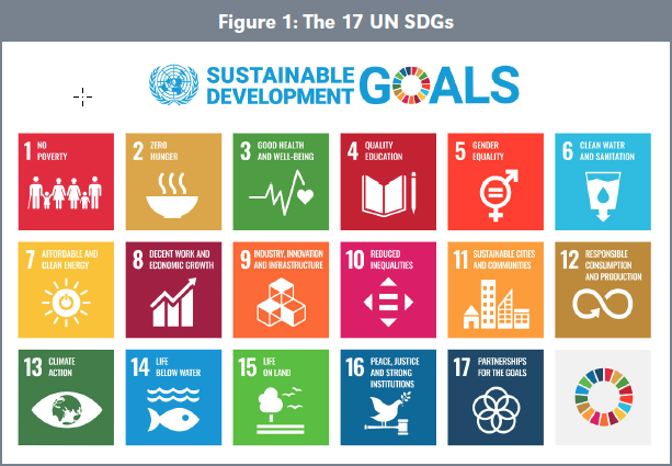 Figure 1: The 17 UN SDGs