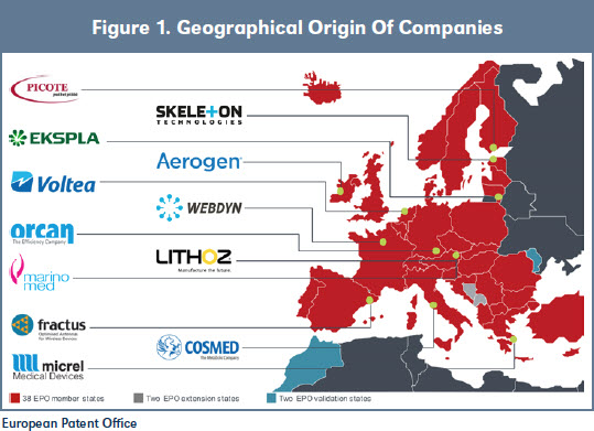 Figure 1. Geographical Origin Of Companies
