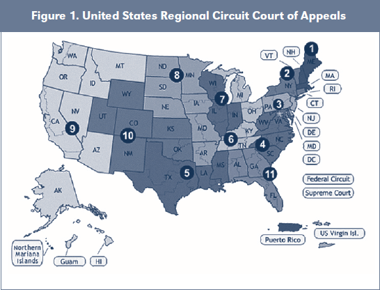 Figure 1. United States Regional Circuit Court of Appeals
